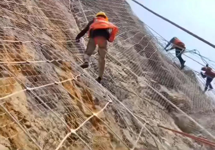 坡头镇挂网